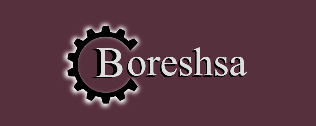 boreshsa-logo